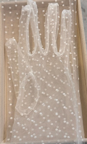 Emilia Ivory
