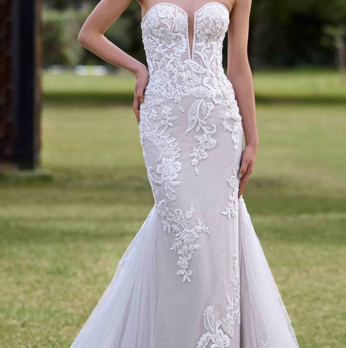 Pronovias Luz — Ivory