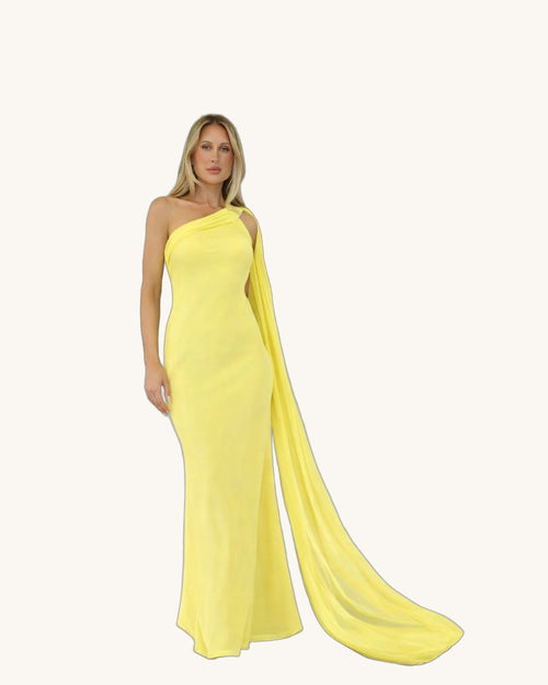 Julieta Amarillo - Vestido Casual - Sposa Mia Chihuahua