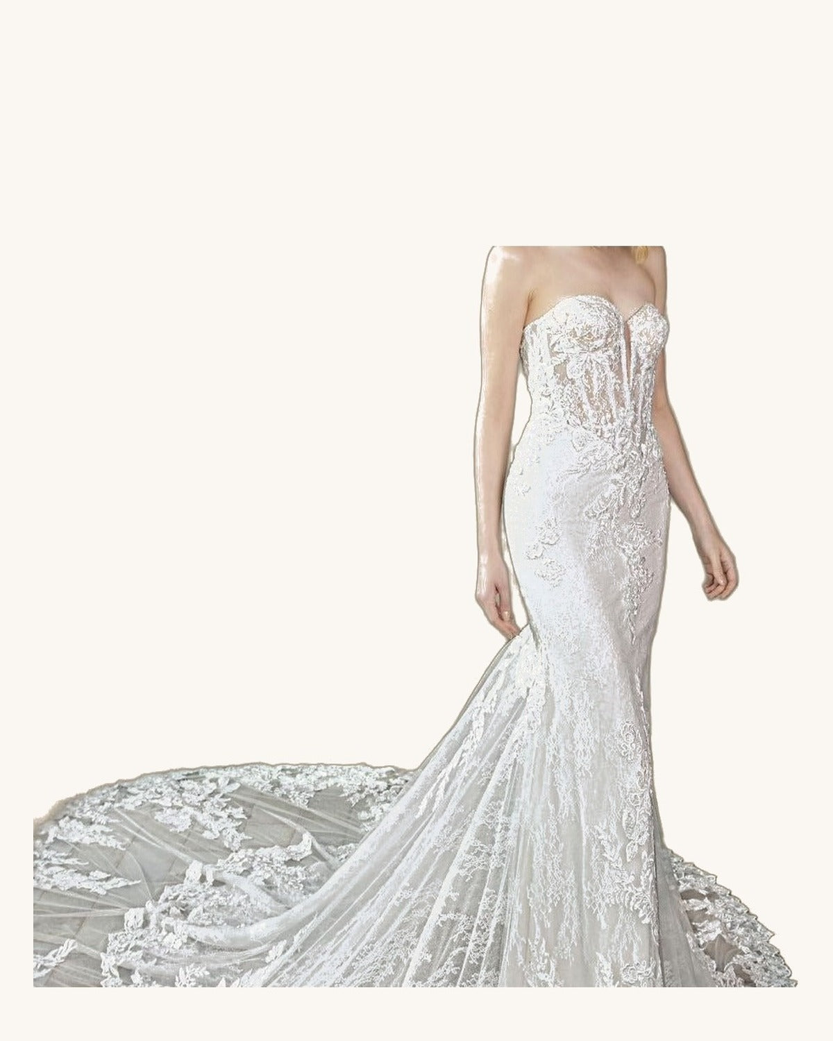 Pronovias Maite — Ivory - Vestido de Novia - Sposa Mia Chihuahua