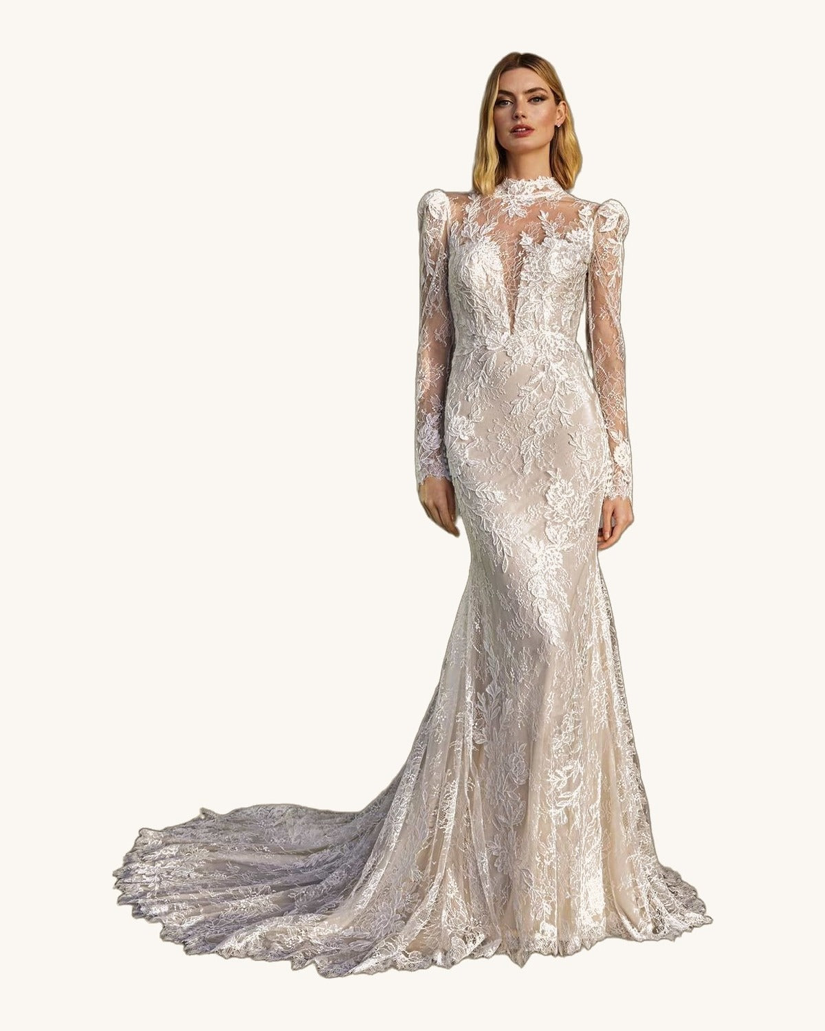 Pronovias Nayeli — Ivory - Vestido de Novia - Sposa Mia Chihuahua